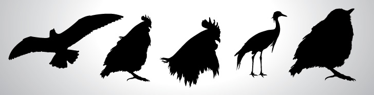 Free Vector Set of Birds Silhouettes