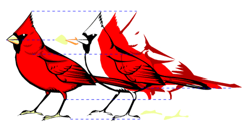 Cardinal