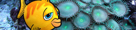 Fish Character