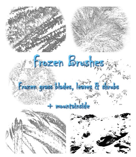 Free Set of Photoshop Brushes Image Preview